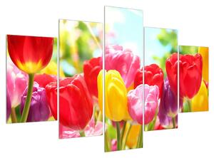 Obraz tulipánů (150x105 cm)