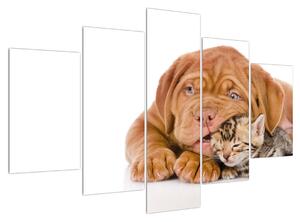 Obraz psa s kotětem (150x105 cm)