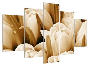 Obraz tulipánů (150x105 cm)