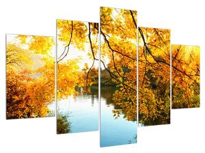 Podzimní obraz stromu (150x105 cm)
