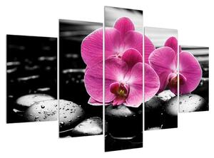 Obraz květů orchideje (150x105 cm)