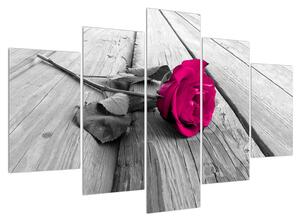 Obraz růže (150x105 cm)