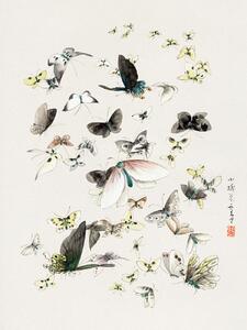 Obrazová reprodukce Butterflies & Moths (2 of 2) - Katsushika Hokusai, (30 x 40 cm)