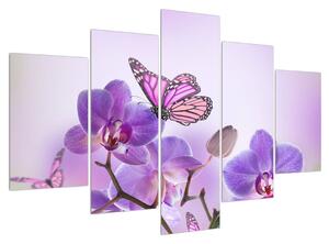 Obraz motýla na květech orchideje (150x105 cm)