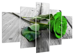 Obraz zelené růže (150x105 cm)