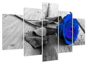 Obraz modré růže (150x105 cm)