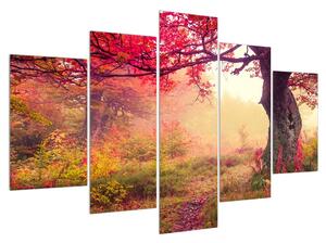 Obraz podzimní lesní krajiny (150x105 cm)