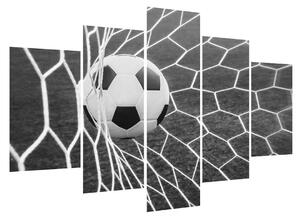 Fotbalový míč v síti (150x105 cm)
