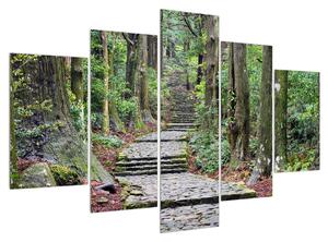 Obraz kamenných schodů v lese (150x105 cm)