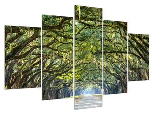 Obraz stromové aleje (150x105 cm)