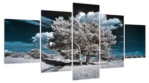 Obraz sněhobílého stromu (150x80 cm)