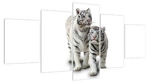 Obraz bílého tygra (150x80 cm)
