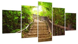 Obraz schodů vedoucích krajinou (150x80 cm)