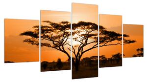 Obraz africké savany (150x80 cm)