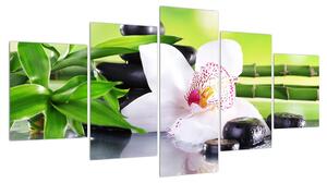 Obraz orchideje (150x80 cm)