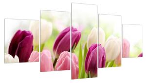 Obraz pučících tulipánů (150x80 cm)