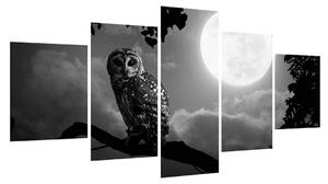Obraz noční sovy (150x80 cm)