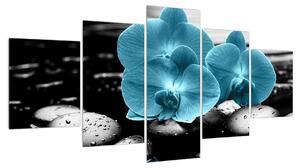 Obraz modrých květů orchideje (150x80 cm)