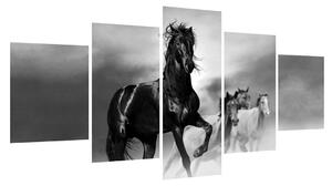 Obraz koně (150x80 cm)