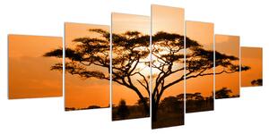 Obraz africké savany (210x100 cm)