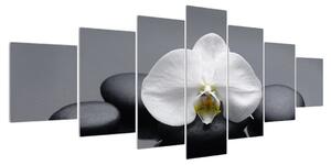 Obraz orchideje (210x100 cm)