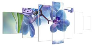 Obraz motýla na květech orchideje (210x100 cm)