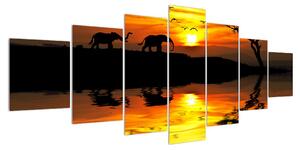 Obraz africké krajiny se slonem (210x100 cm)