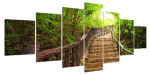 Letní obraz schodů v přírodě (210x100 cm)