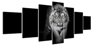 Černobílý obraz tygra (210x100 cm)