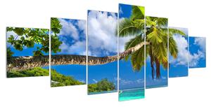 Obraz palmy a pláže (210x100 cm)
