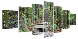 Obraz kamenných schodů v lese (210x100 cm)