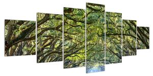 Obraz stromové aleje (210x100 cm)