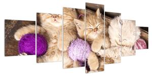 Obraz spících koťat (210x100 cm)