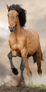Vesna | Osuška dětská Kůň Brown 70 x 140 cm