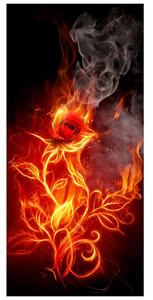 Fototapeta na dveře - hořící růže (95x205cm)