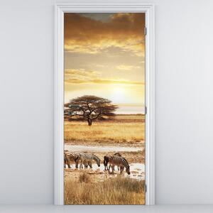 Fototapeta na dveře - zebry (95x205cm)