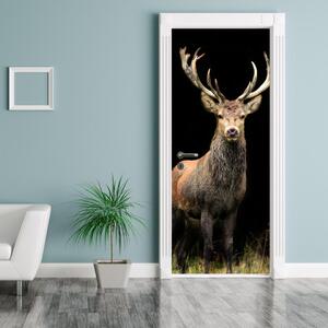Fototapeta na dveře - krásný jelen (95x205cm)