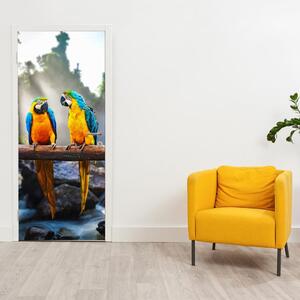 Fototapeta na dveře - Tři papoušci (95x205cm)