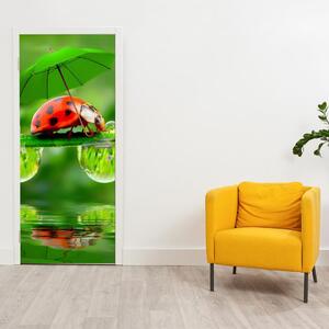 Fototapeta na dveře - Beruška s deštníkem (95x205cm)