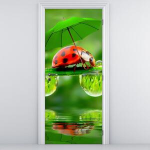 Fototapeta na dveře - Beruška s deštníkem (95x205cm)