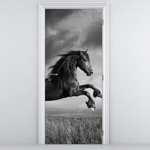 Fototapeta na dveře - Kůň (95x205cm)