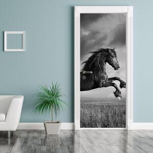 Fototapeta na dveře - Kůň (95x205cm)