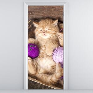 Fototapeta na dveře - kotě s fialovými klubíčky (95x205cm)