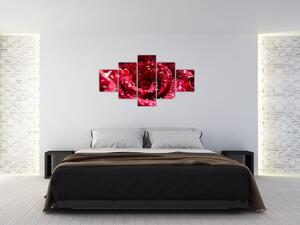 Obraz květu červené růže (125x70 cm)
