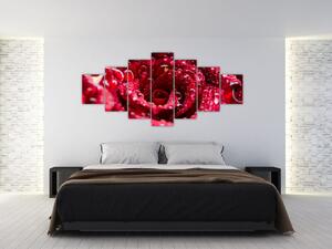 Obraz květu červené růže (210x100 cm)
