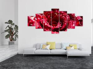 Obraz květu červené růže (210x100 cm)