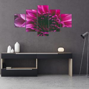 Obraz růžového květu (125x70 cm)