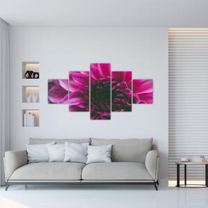 Obraz růžového květu (125x70 cm)