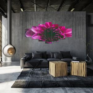 Obraz růžového květu (210x100 cm)