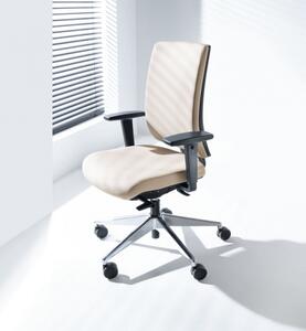 ProfiM - Židle VERIS 10SFL/101SFL s nízkým opěrákem a Synchro